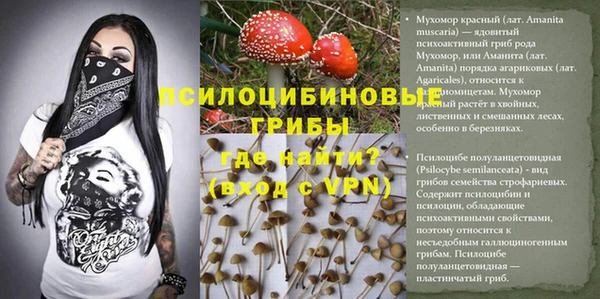 гидра Белоозёрский