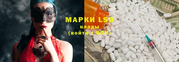 spice Белокуриха