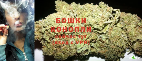 гидра Белоозёрский
