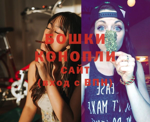 гидра Белоозёрский