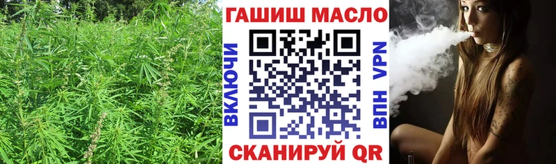 Купить где  Миньяр  ТГК THC oil 